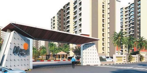 Renovation Tips to Increase Your Property’s Value